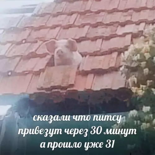 Смешная картинка №759292
