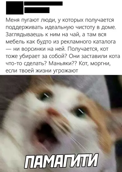 Смешная картинка №594023