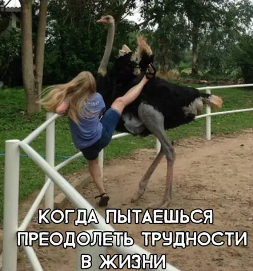 Смешная картинка №299101