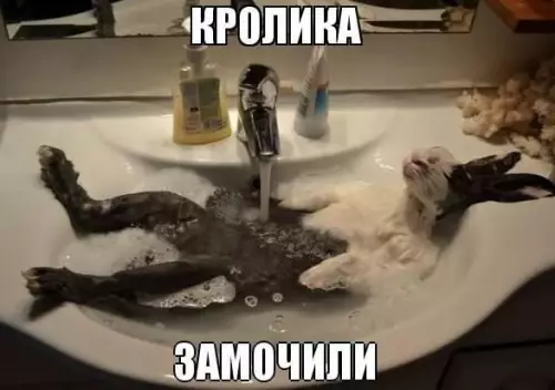 Смешная картинка №247090