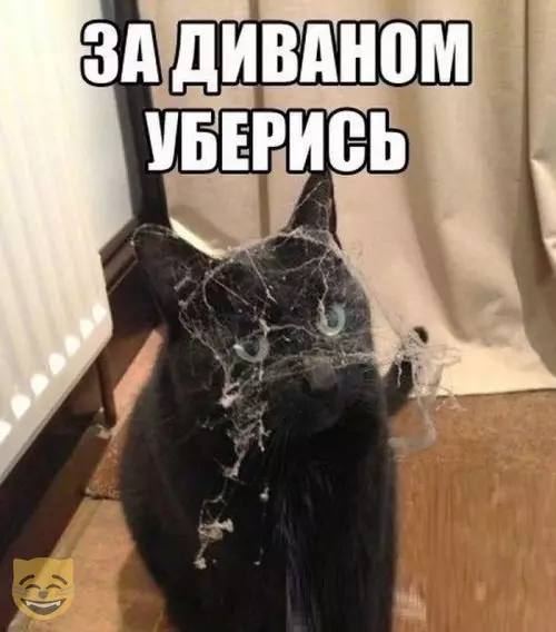 Смешная картинка №346380 #приколы #картинки #мемы ?
