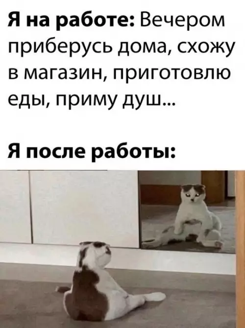 Смешная картинка №766850