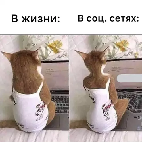 Смешная картинка №575809