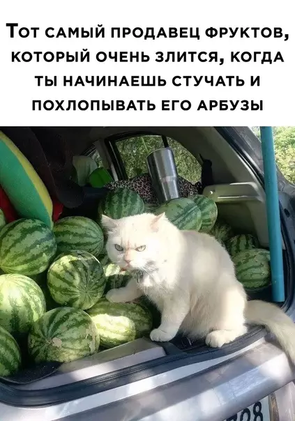 Смешная картинка №565696