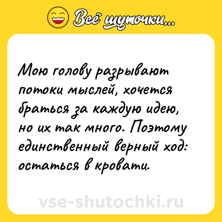 Шутка: Мою голову разрывают потоки мыслей, хочется браться за каждую идею, но их так много. Поэтому единственный верный ход: остаться в кровати.