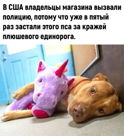 Смешная картинка №562901 Дoбpoтa дня: