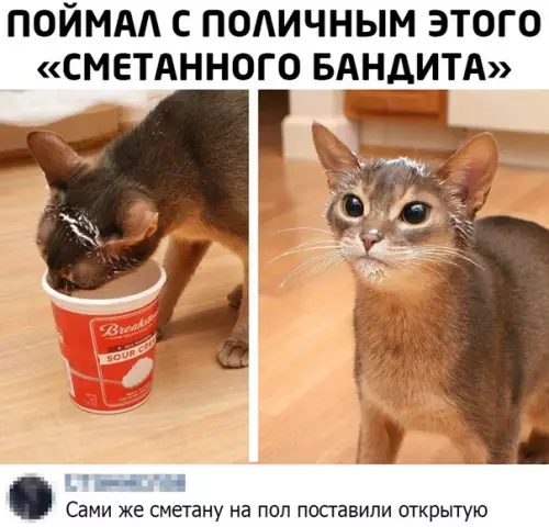 Смешная картинка №482788