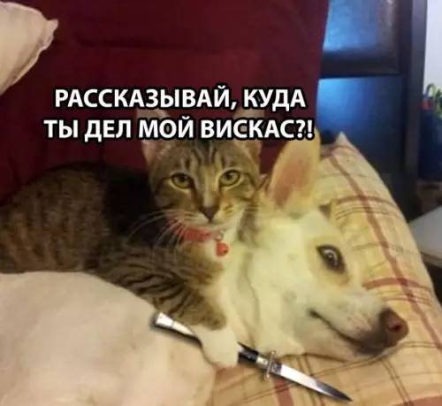 Смешная картинка №288823
