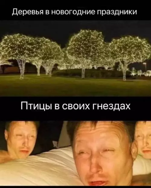 Смешная картинка №702085