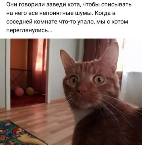 Смешная картинка №274519