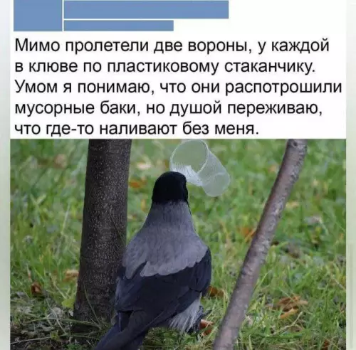 Смешная картинка №685257