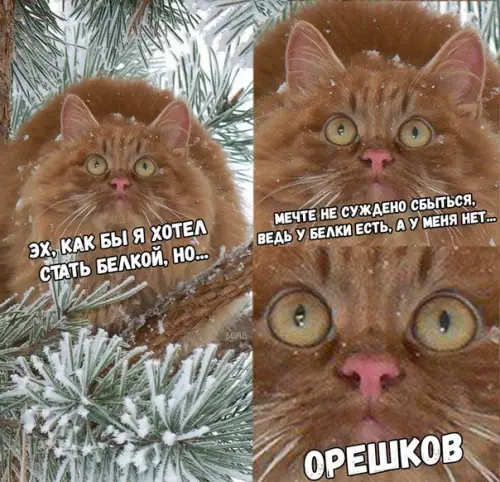 Смешная картинка №226355