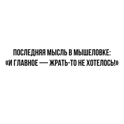 Смешная картинка №364373