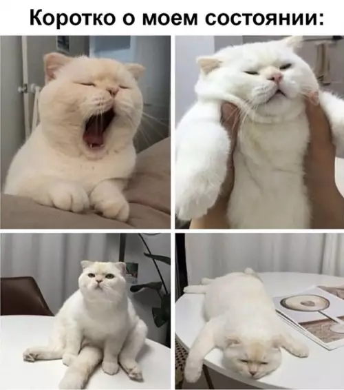 Смешная картинка №347890