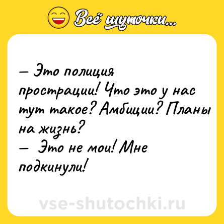 Шутка: — Это полиция прострации! Что это у нас тут такое? Амбиции? Планы на жизнь? <br>—  Это не мои! Мне подкинули!
