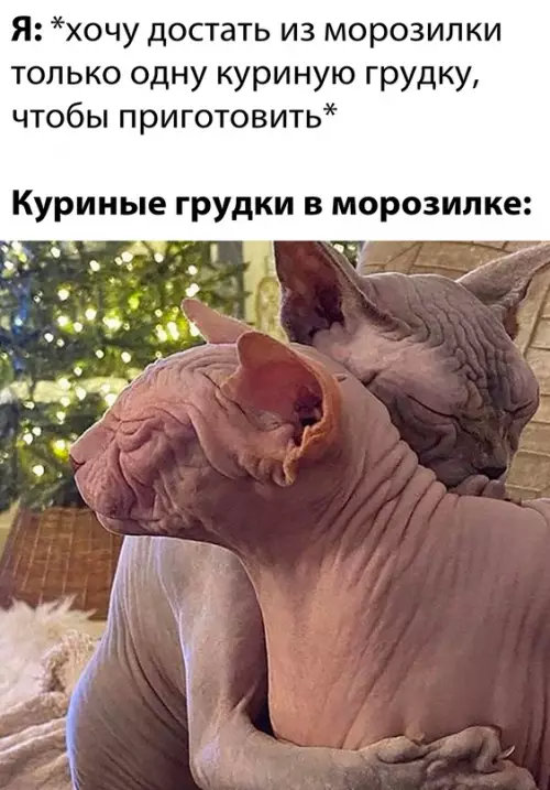 Смешная картинка №680234