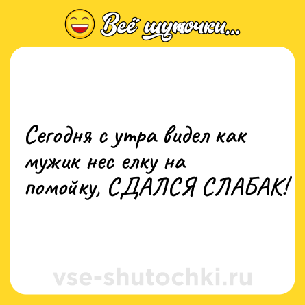 Шутка: Сегодня с утра видел как мужик нес елку на помойку, СДАЛСЯ СЛАБАК!