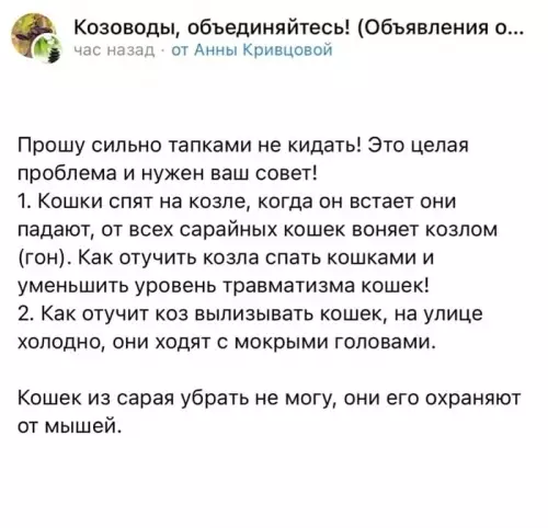 Смешная картинка №667503 животные
