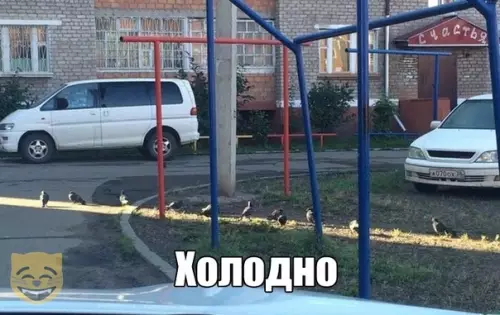 Смешная картинка №389261