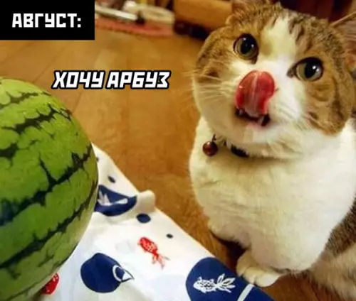 продолжение Смешная картинка №559946 Грустно, но вкусно
