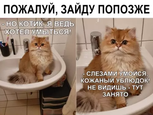 Смешная картинка №371015
