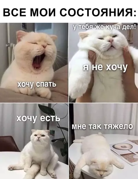 Смешная картинка №330857