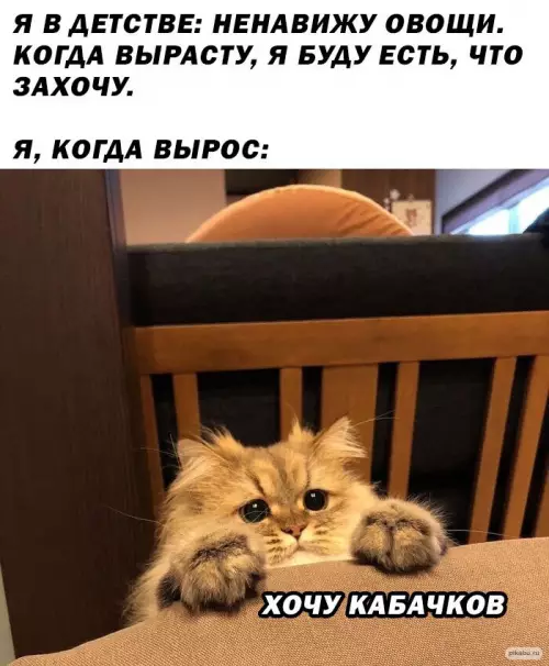 Смешная картинка №650680
