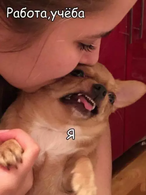 Смешная картинка №798155