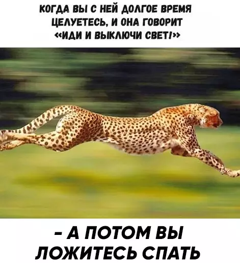 Смешная картинка №306669