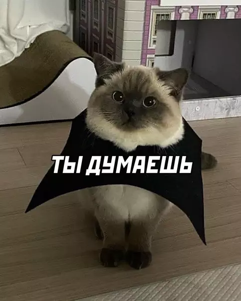Смешная картинка №585430