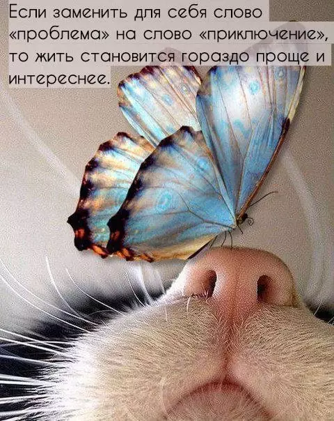 Смешная картинка №214425