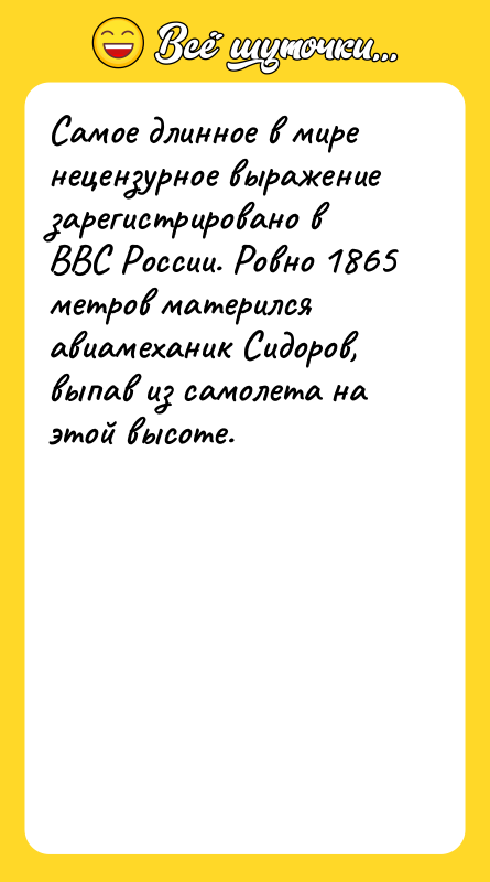 Самое длинное в мире нецензурное выражение зарегистрировано в ВВС России.