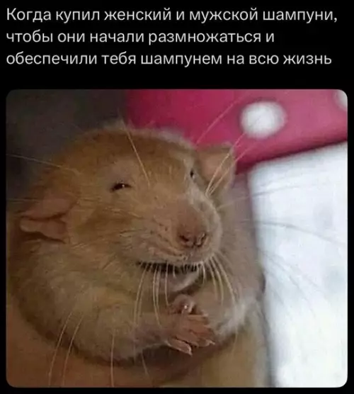 Смешная картинка №771181