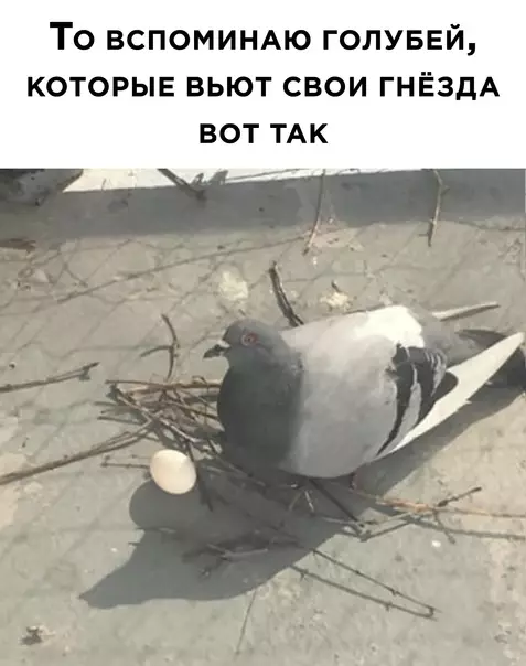 продолжение Смешная картинка №566696