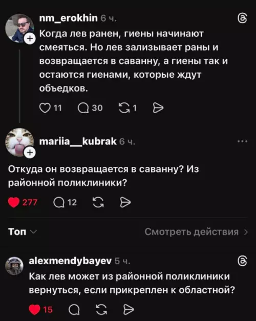 Лев, поликлиника и суровая реальность 🦁 - Когда лев ранен, гиены начинают смеяться. Но лев зализывает раны