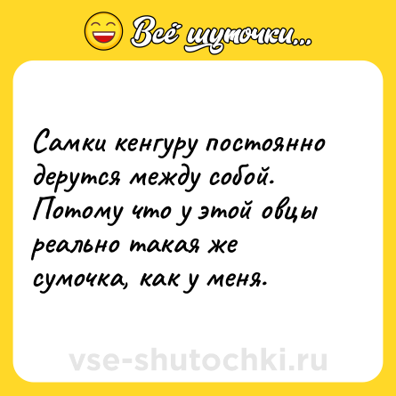 Шутка: Самки кенгуру постоянно дерутся между собой. Потому что у этой овцы реально такая же сумочка, как у меня.