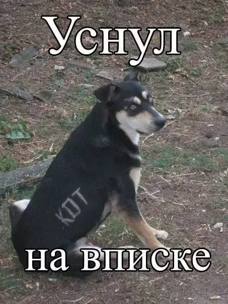 Смешная картинка №673240