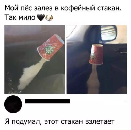 Смешная картинка №224467
