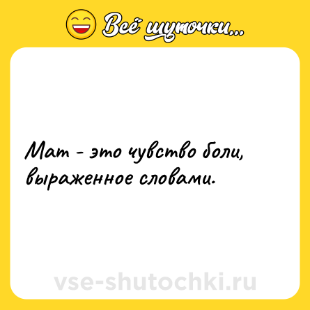 Шутка: Мат - это чувство боли, выраженное словами.