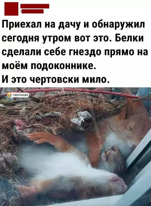 Смешная картинка №687498