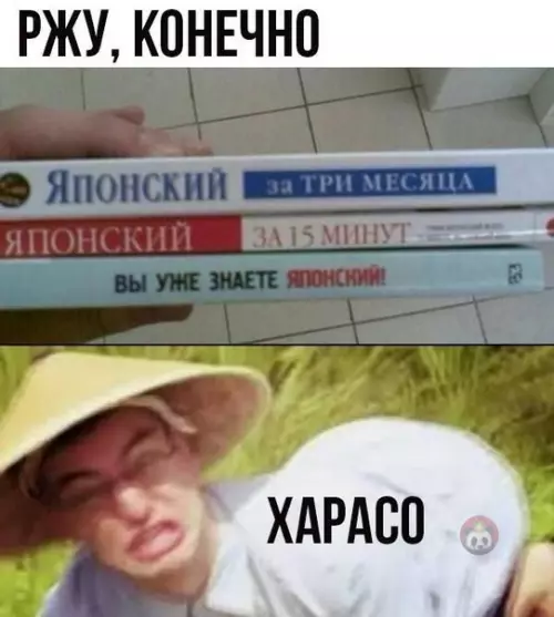 Смешная картинка №540949 4 книга - вы уже японец!