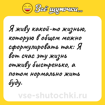 Шутка: Я живу какой-то жизнью, которую в общем можно сформулировать так: Я вот счас эту жизнь отживу быстренько, а потом нормально жить буду.