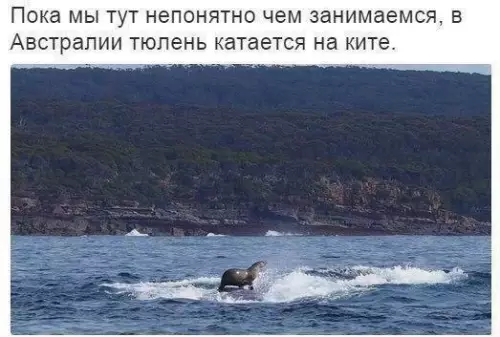 Смешная картинка №242979