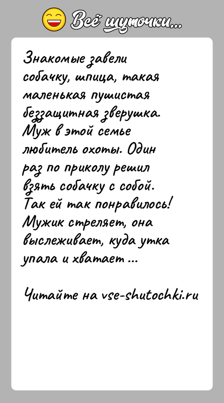 История: Знакомые завели собачку, шпица, такая маленькая пушистая беззащитная зверушка. Муж в этой семье любитель охоты. Один раз по приколу решил