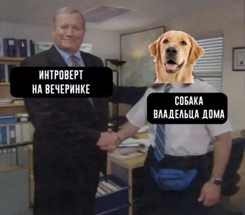 Интроверт vs Собака: кто тут главный? 😂 - ИНТРОВЕРТ НА ВЕЧЕРИНКЕ СОБАКА ВЛАДЕЛЬЦА ДОМА