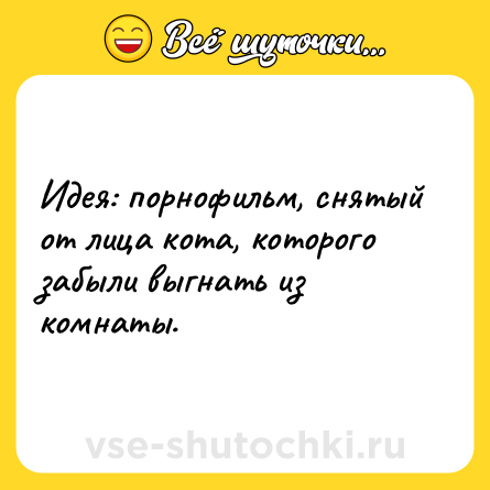 Шутка: Идея: порнофильм, снятый от лица кота, которого забыли выгнать из комнаты.
