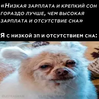Смешная картинка №697542 😐