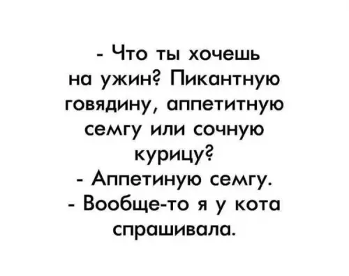 Смешная картинка №691461 Коты 