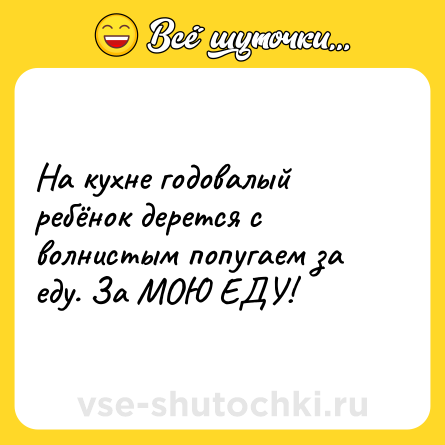 Шутка: На кухне годовалый ребёнок дерется с волнистым попугаем за еду. За МОЮ ЕДУ!