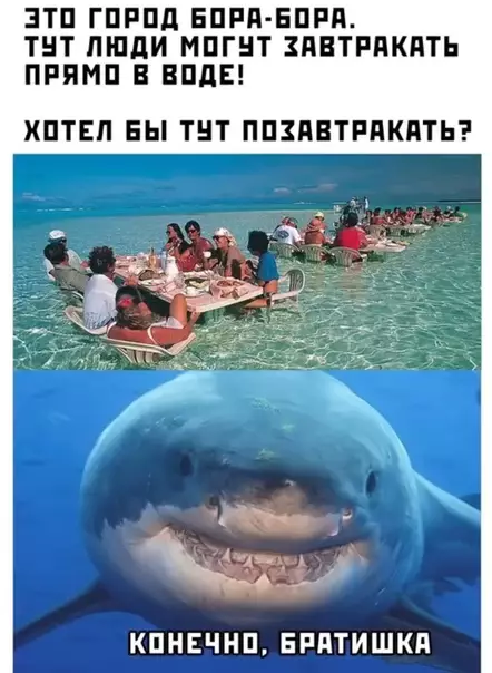 Смешная картинка №587798 3aвтpaк для вcex